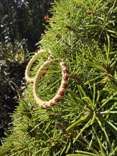 Load image into Gallery viewer, Nantucket Red Hoops