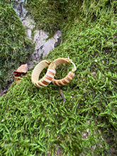 Load image into Gallery viewer, ACK Mini Hoops
