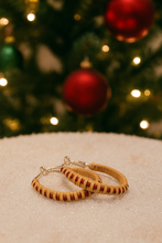 Load image into Gallery viewer, Woven Teardrop Earrings
